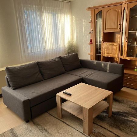 Schoene Ferienwohnung In Saarbrücken Dış mekan fotoğraf